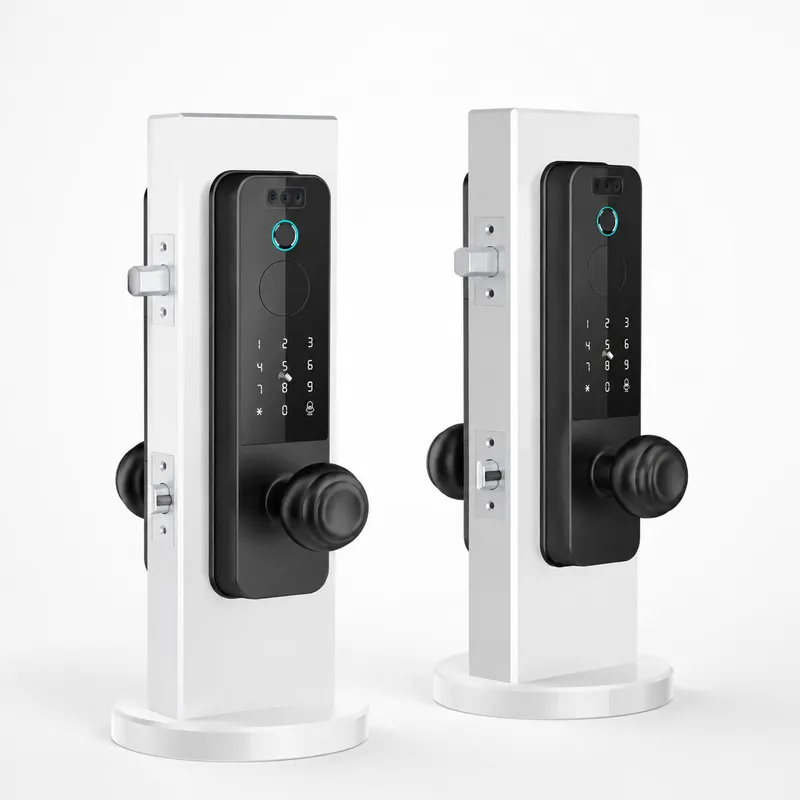 Умный замок для деревянных две – обзор и цена Smart Door Lock Wifi